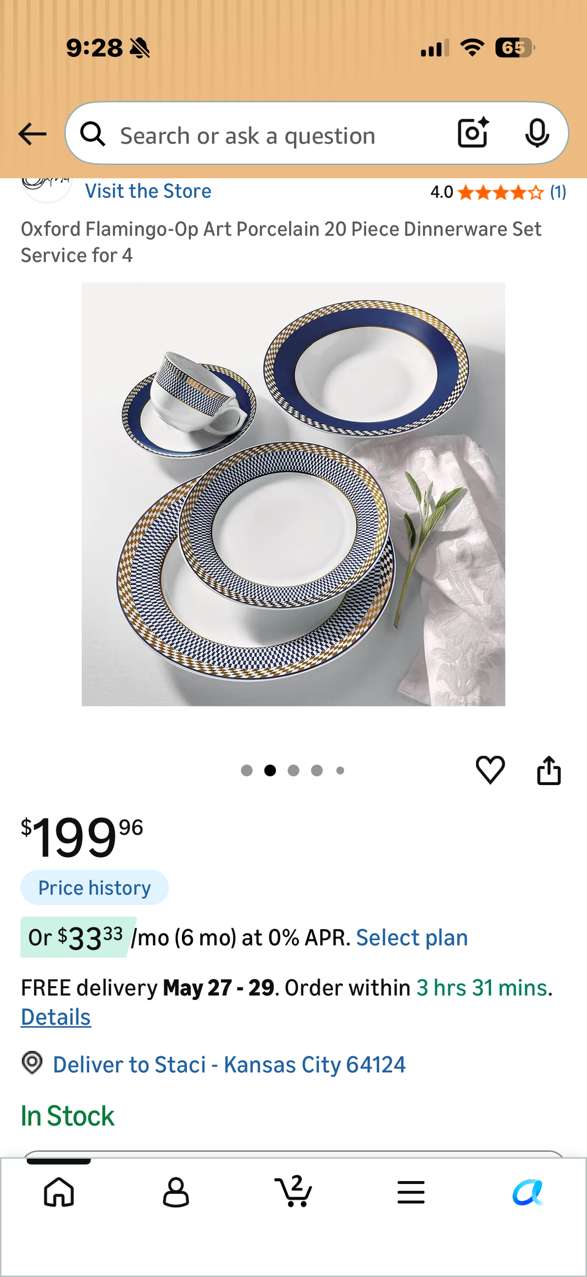 Oxford Flamingo-Op Art Porcelain 20 Piece Dinnerware Set Service for 4