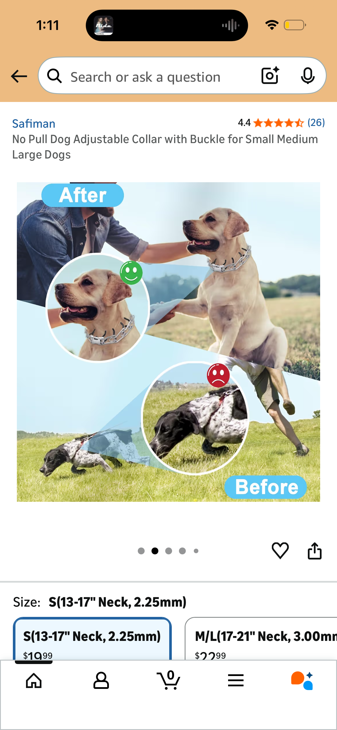 No Pull Dog Adjustable Collar with Buckle (Size Small)