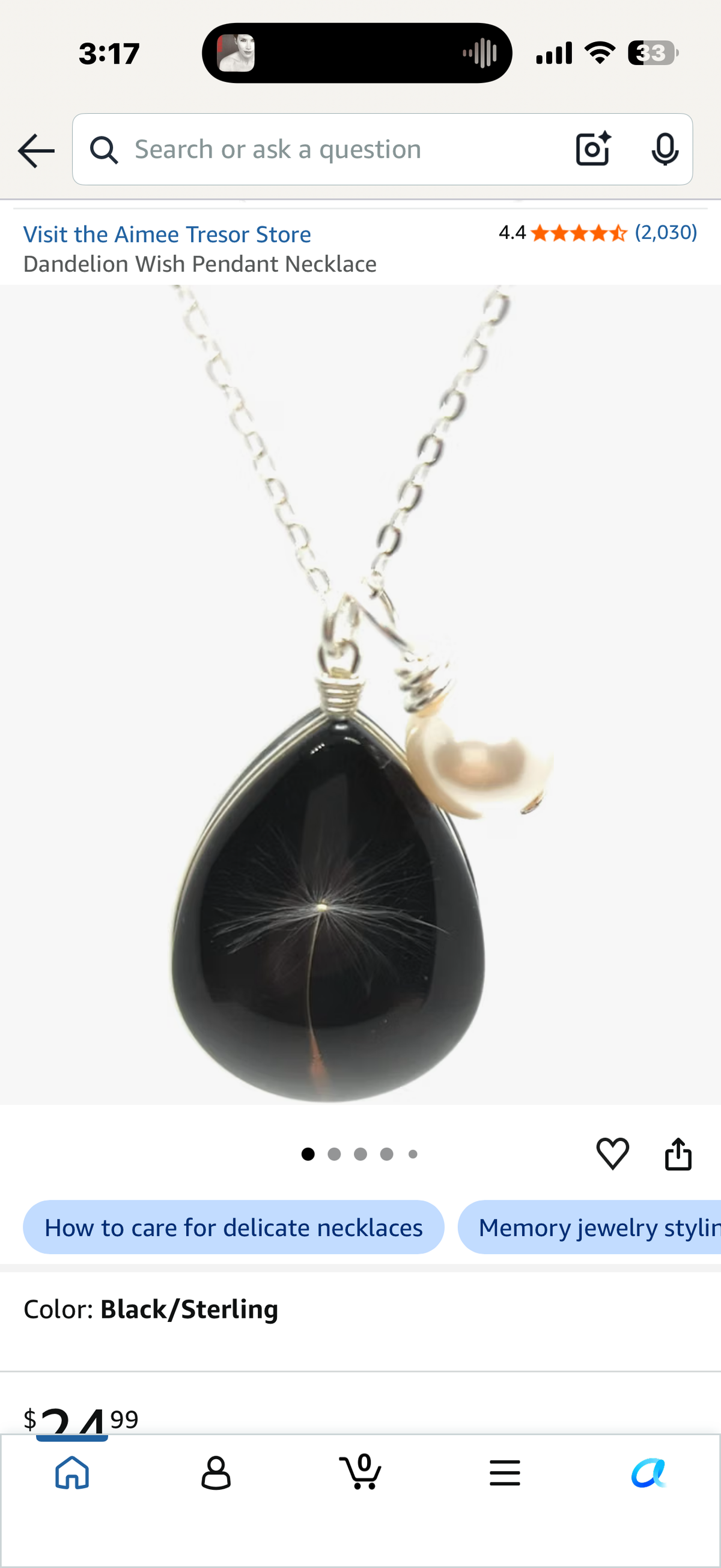 Dandelion Wish Pendant Necklace