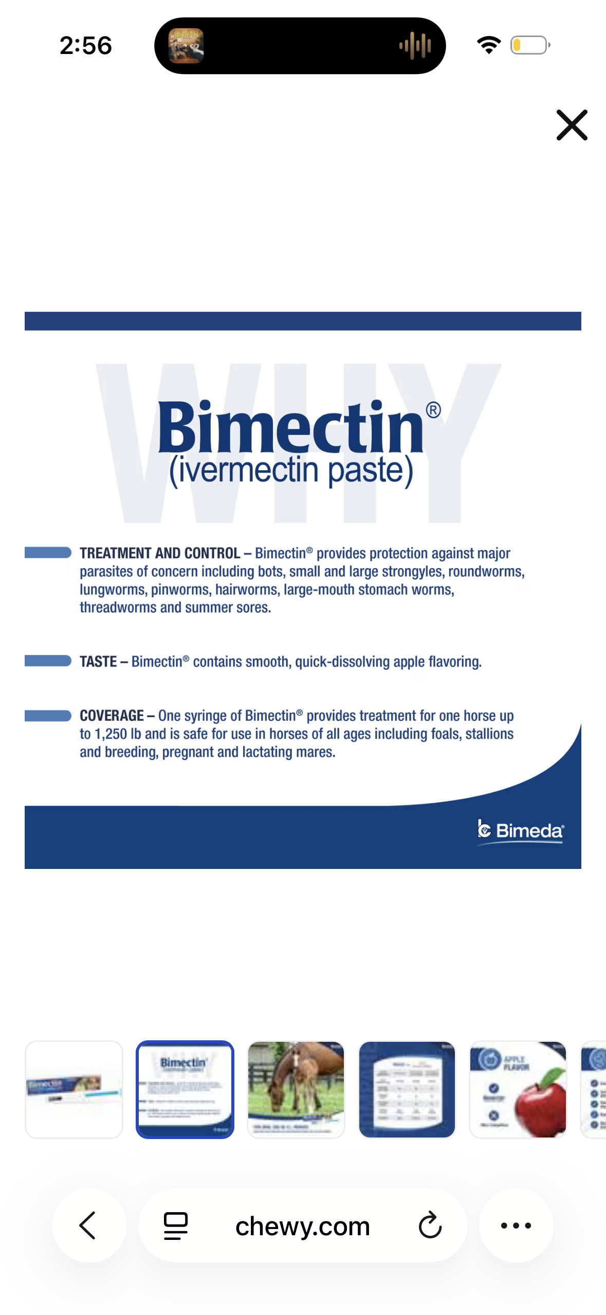 Bimectin Ivermectin 1.87% Anthelmintic and Boticide Horse Dewormer Paste, 6.08g