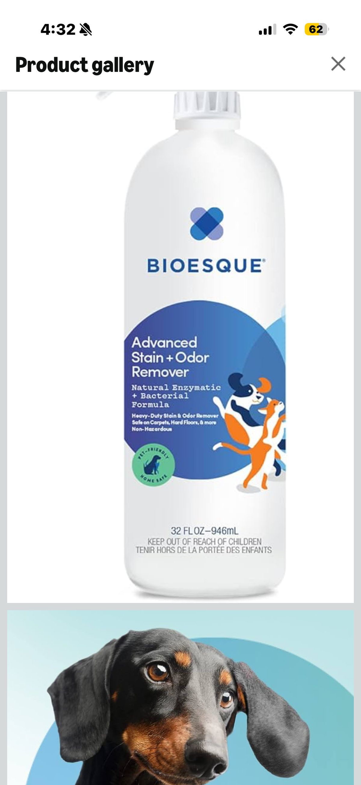 Bioesque Advanced Stain + Odor Remover, Pet-Friendly Natural Enzymatic & Bacterial Formula, Heavy-Duty Stain & Odor Remover, Safe on Carpets, Hard Floors, & More, 32 Fl Oz (Pack of 6)