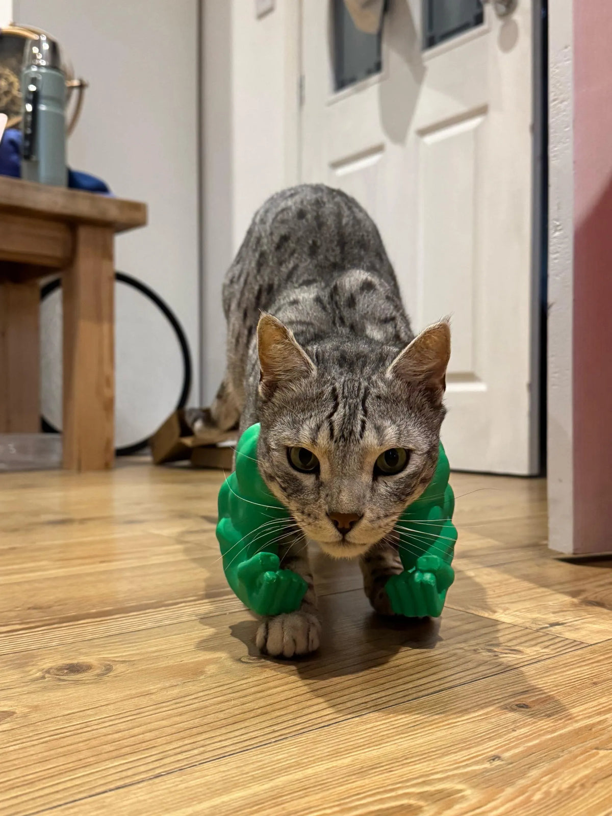 Cat Hulk Arms