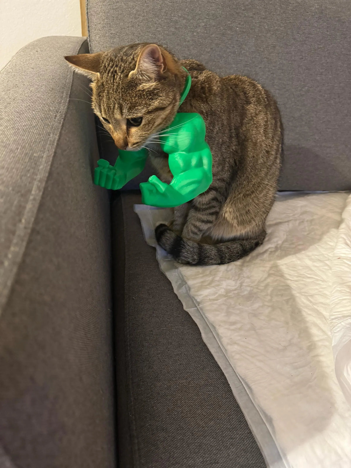 Cat Hulk Arms