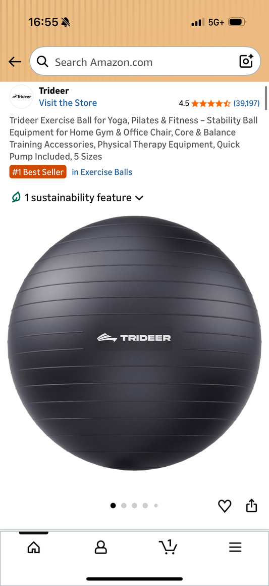 Trideer Exercise Ball for Yoga, Pilates & Fitness – Stability Ball Equipment for Home Gym & Office Chair, Core & Balance Training Accessories, Physical Therapy Equipment, Quick Pump Included, 65cm