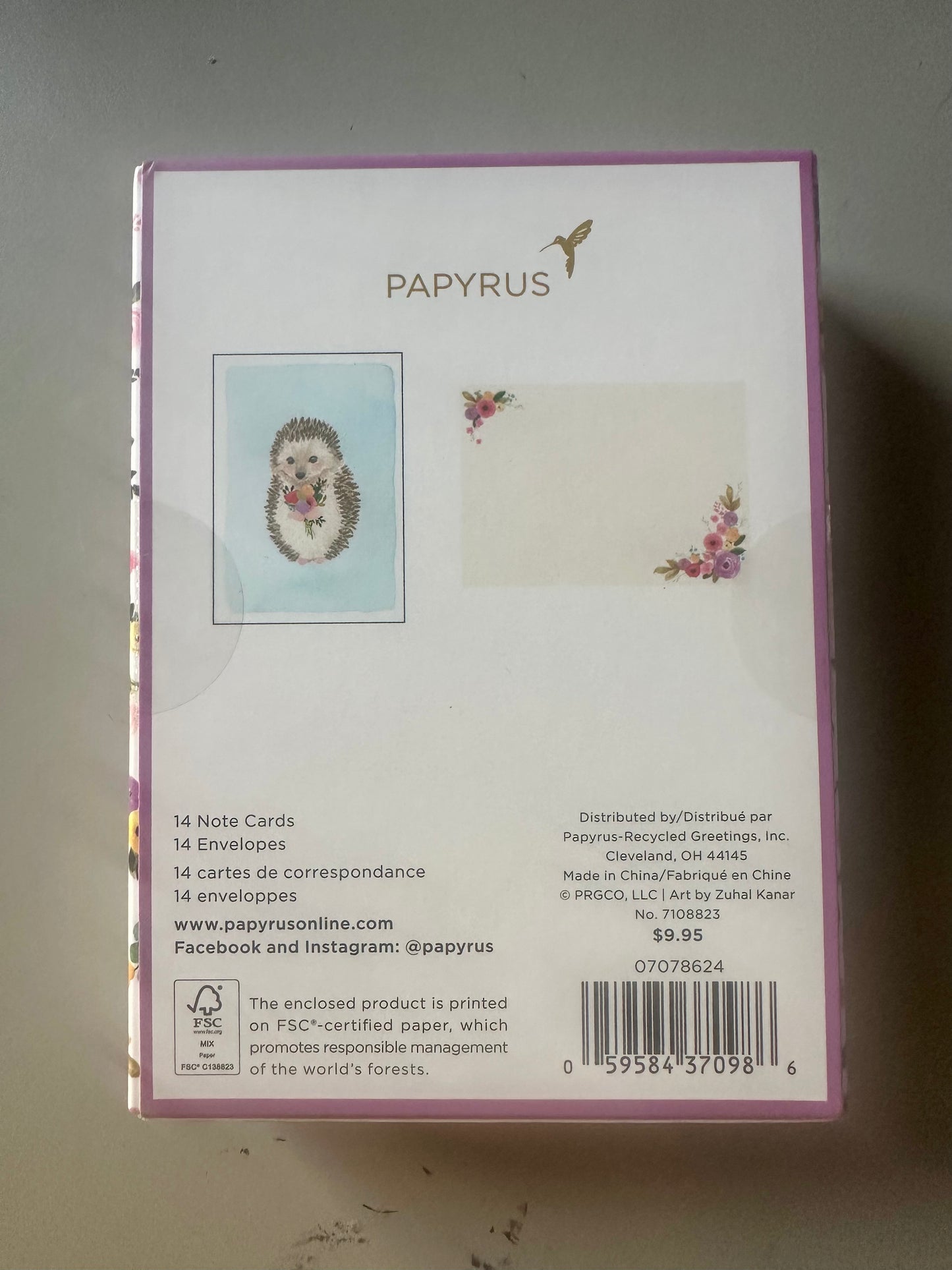Papyrus Blank Cards with Envelopes, Hedgehog with Flower (14-Count)