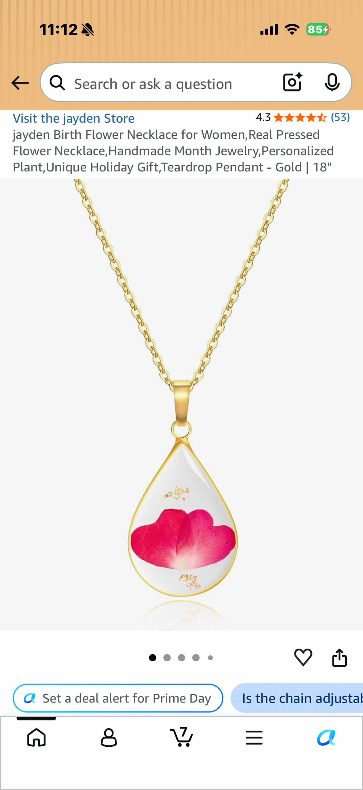 Birth Flower Necklace for Women,Real Pressed Flower Necklace,Handmade Month Jewelry,Personalized Plant,Unique Holiday Gift,Teardrop Pendant JANUARY