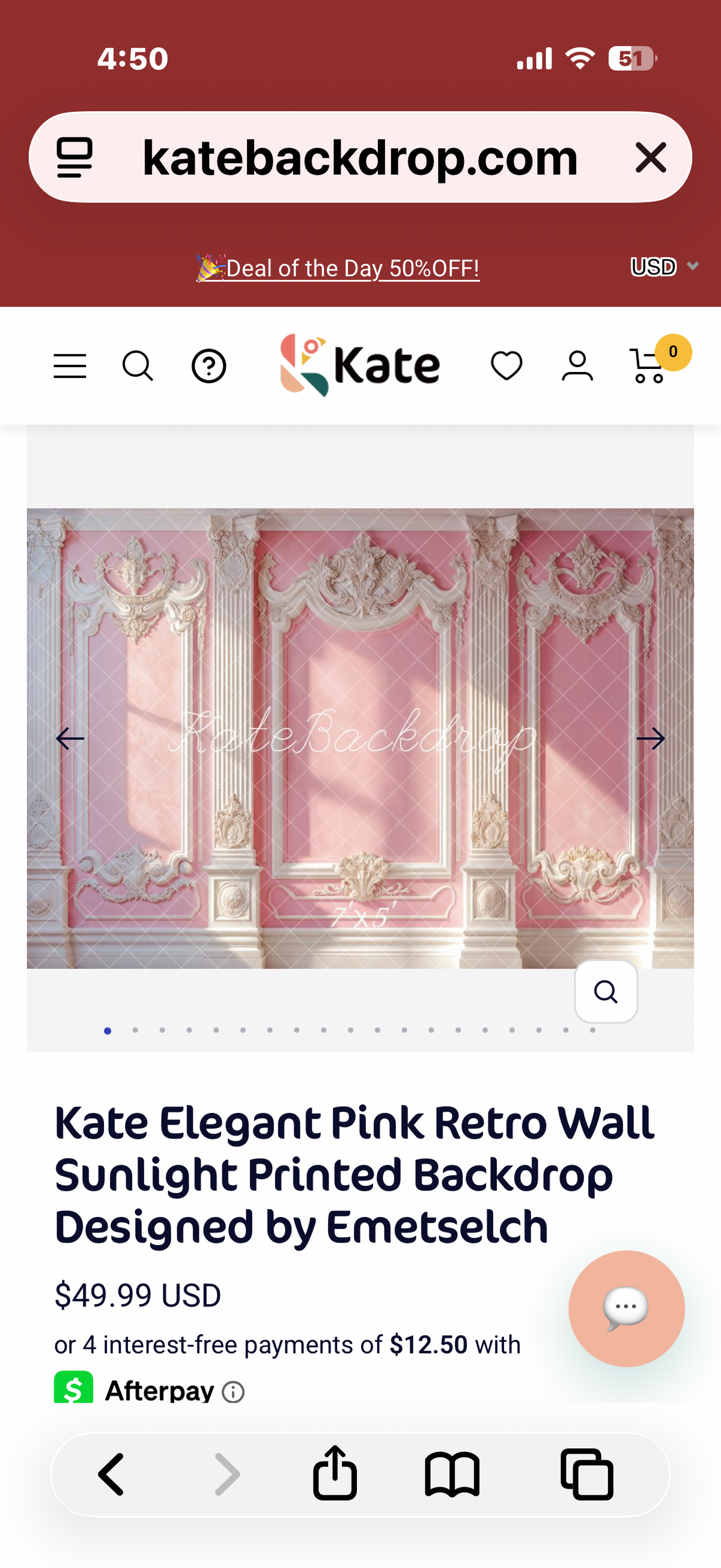 Kate Elegant Pink Retro Wall Sunlight Printed Backdrop Designed by Emetselch