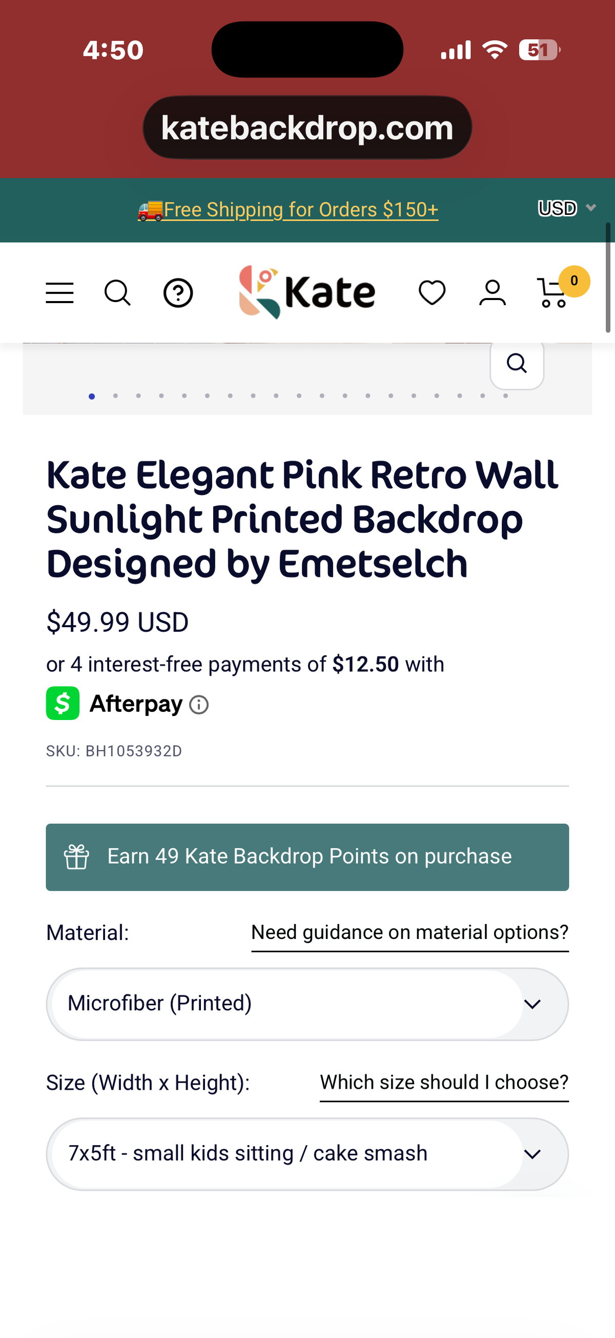 Kate Elegant Pink Retro Wall Sunlight Printed Backdrop Designed by Emetselch