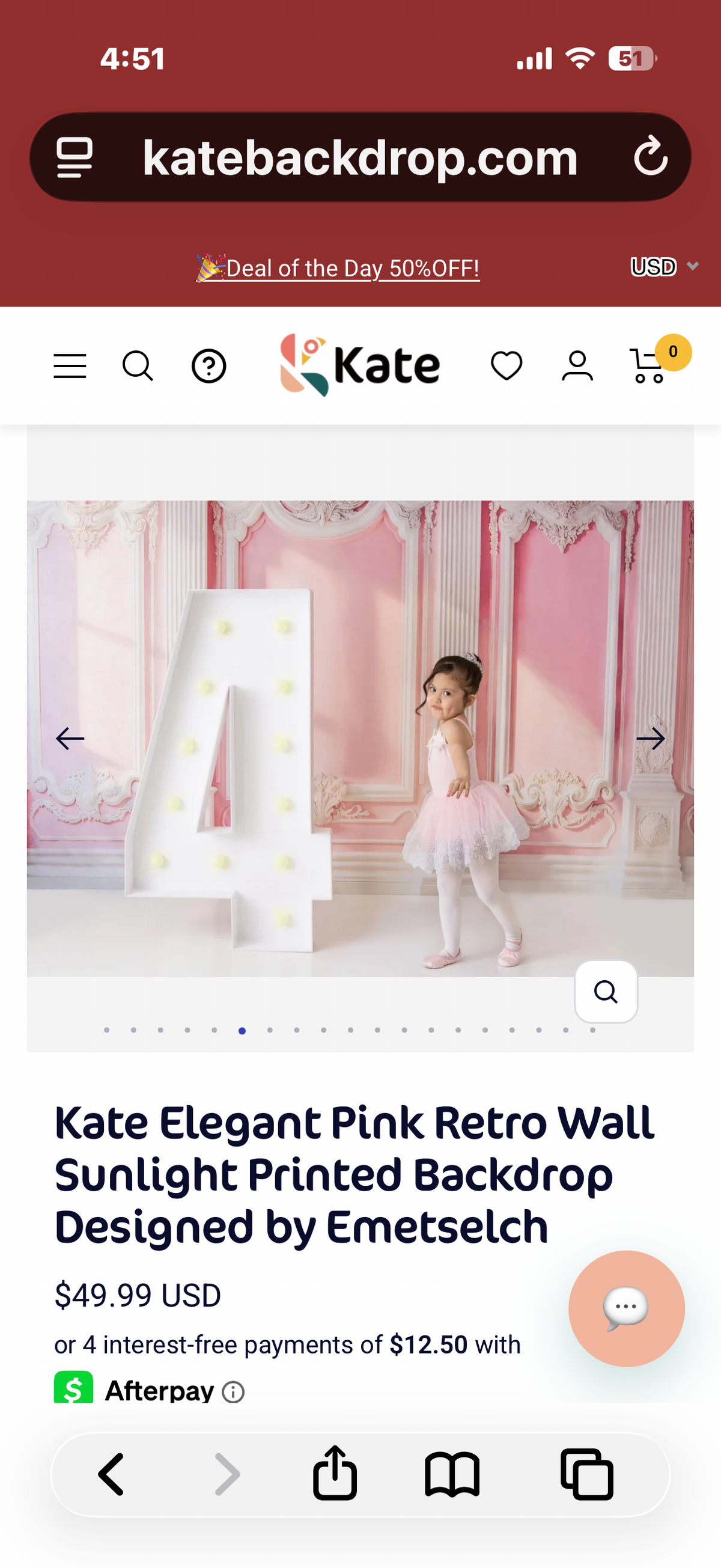 Kate Elegant Pink Retro Wall Sunlight Printed Backdrop Designed by Emetselch