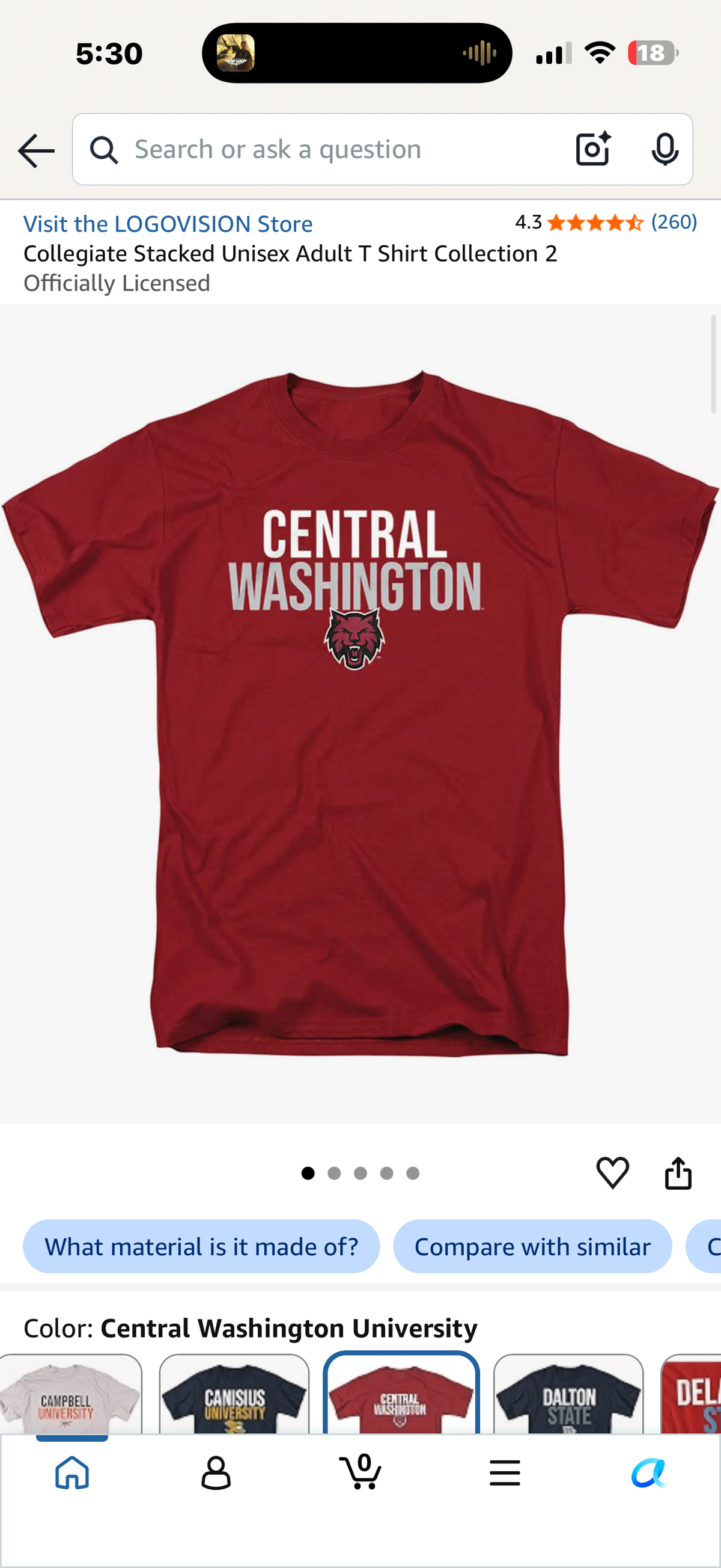 Central Washington T-Shirt (Size Large)