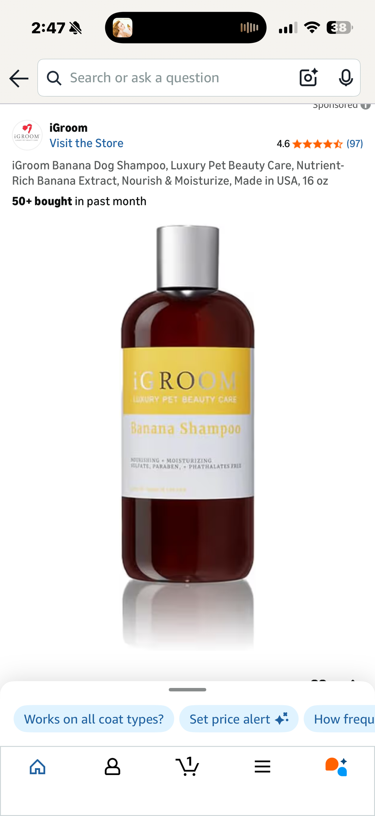 iGroom Banana Dog Shampoo, Luxury Pet Beauty Care, Nutrient-Rich Banana Extract, Nourish & Moisturize, Made in USA, 16 oz