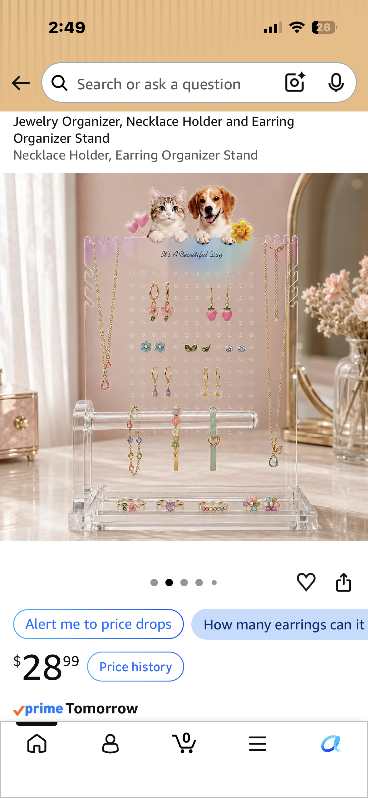 Jewelry Organizer, Necklace Holder and Earring Organizer Stand
