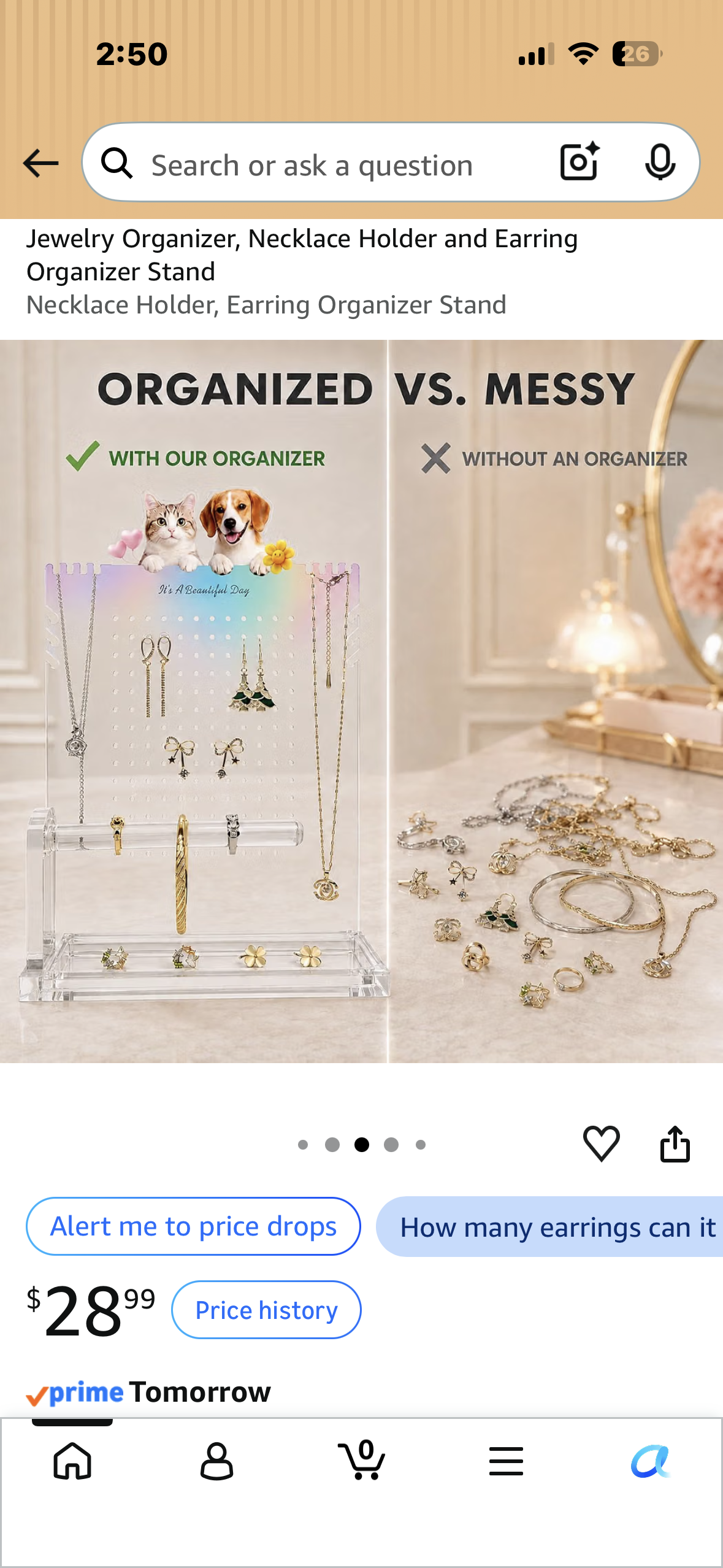 Jewelry Organizer, Necklace Holder and Earring Organizer Stand