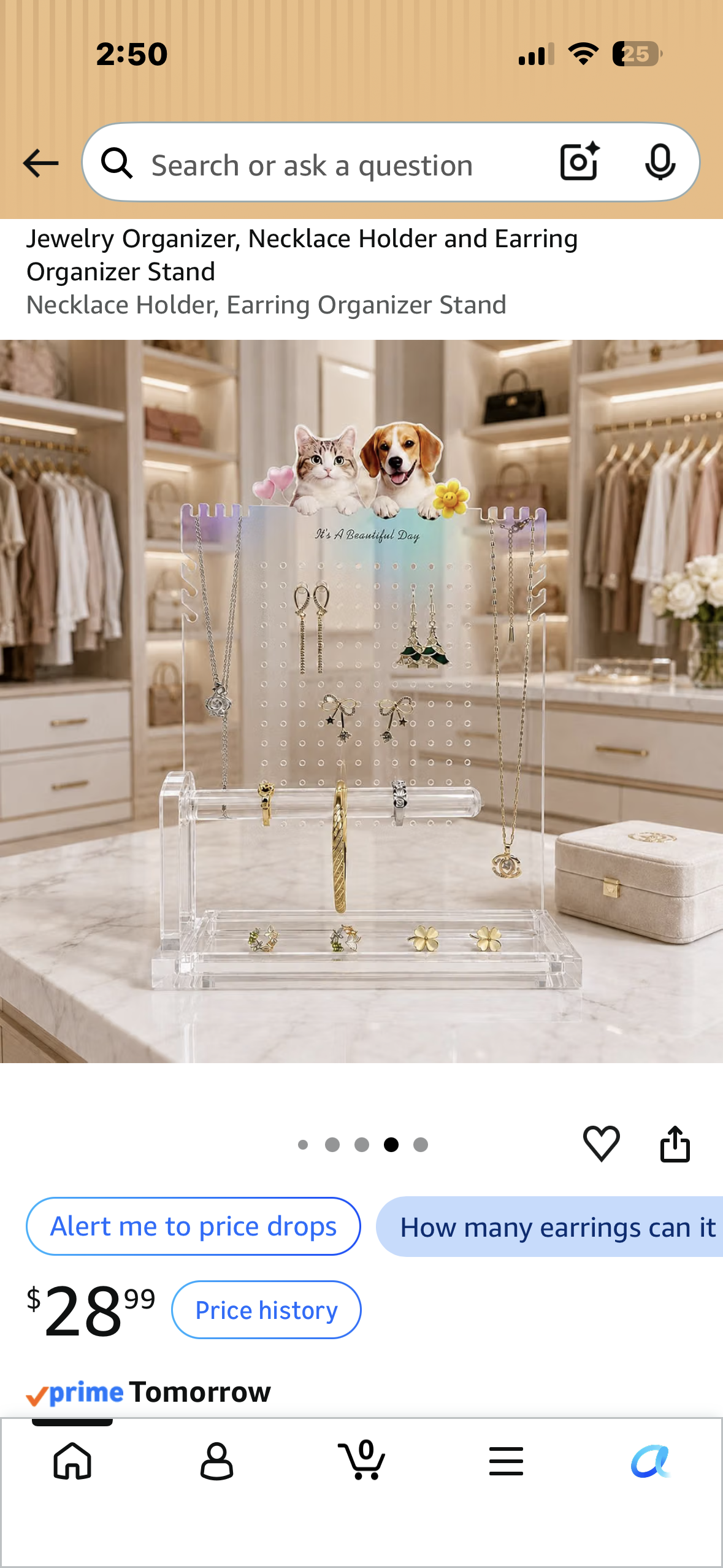 Jewelry Organizer, Necklace Holder and Earring Organizer Stand