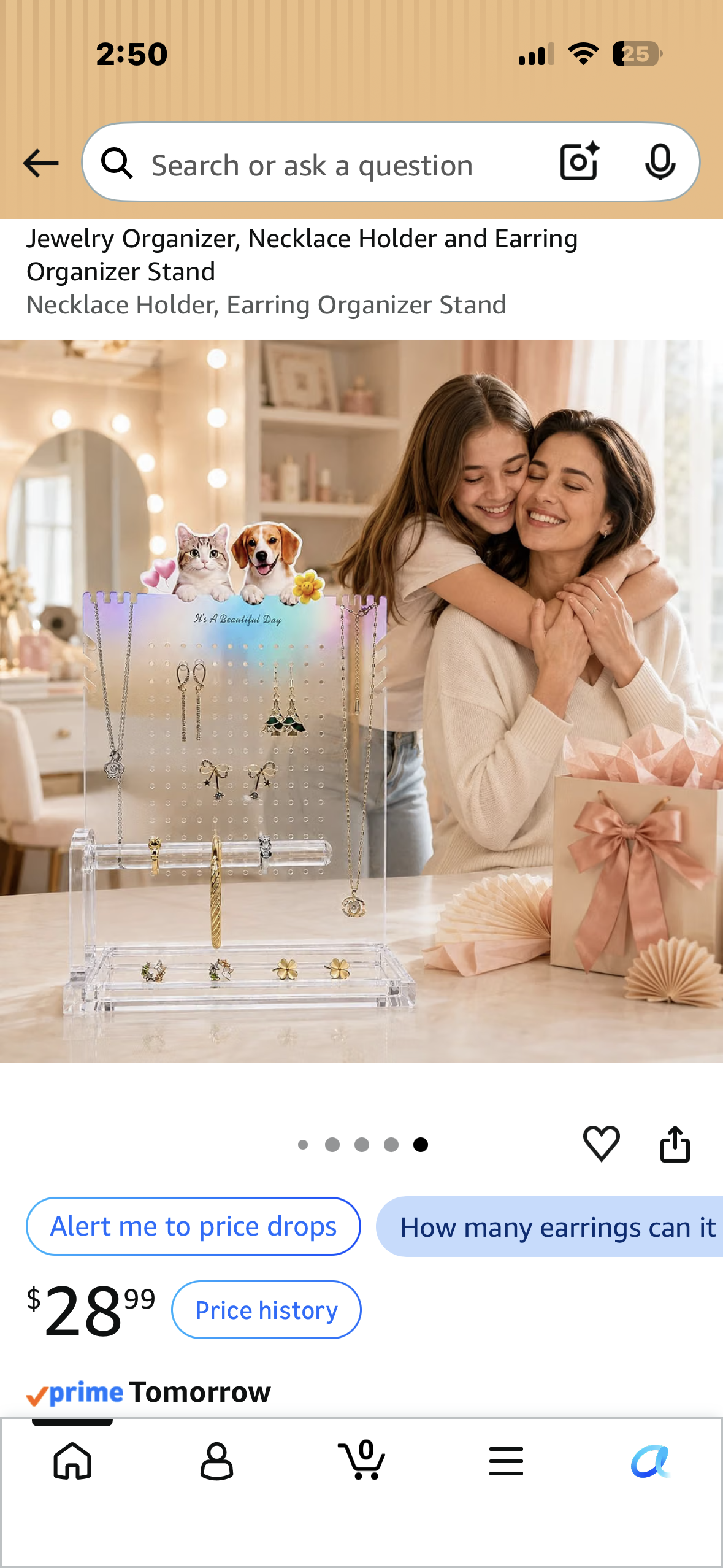 Jewelry Organizer, Necklace Holder and Earring Organizer Stand