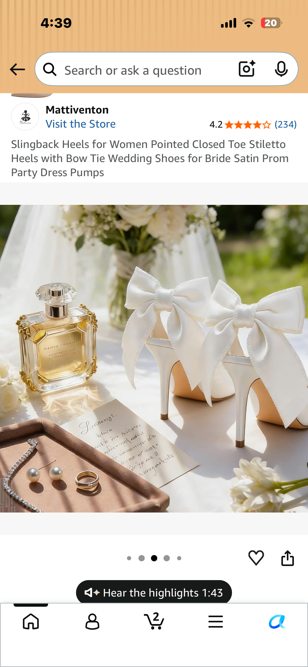 Slingback Heels, Pointed Closed Toe Stiletto Heels with Bow Tie, Formal Wear Shoes, Dress Pumps (Size 6)