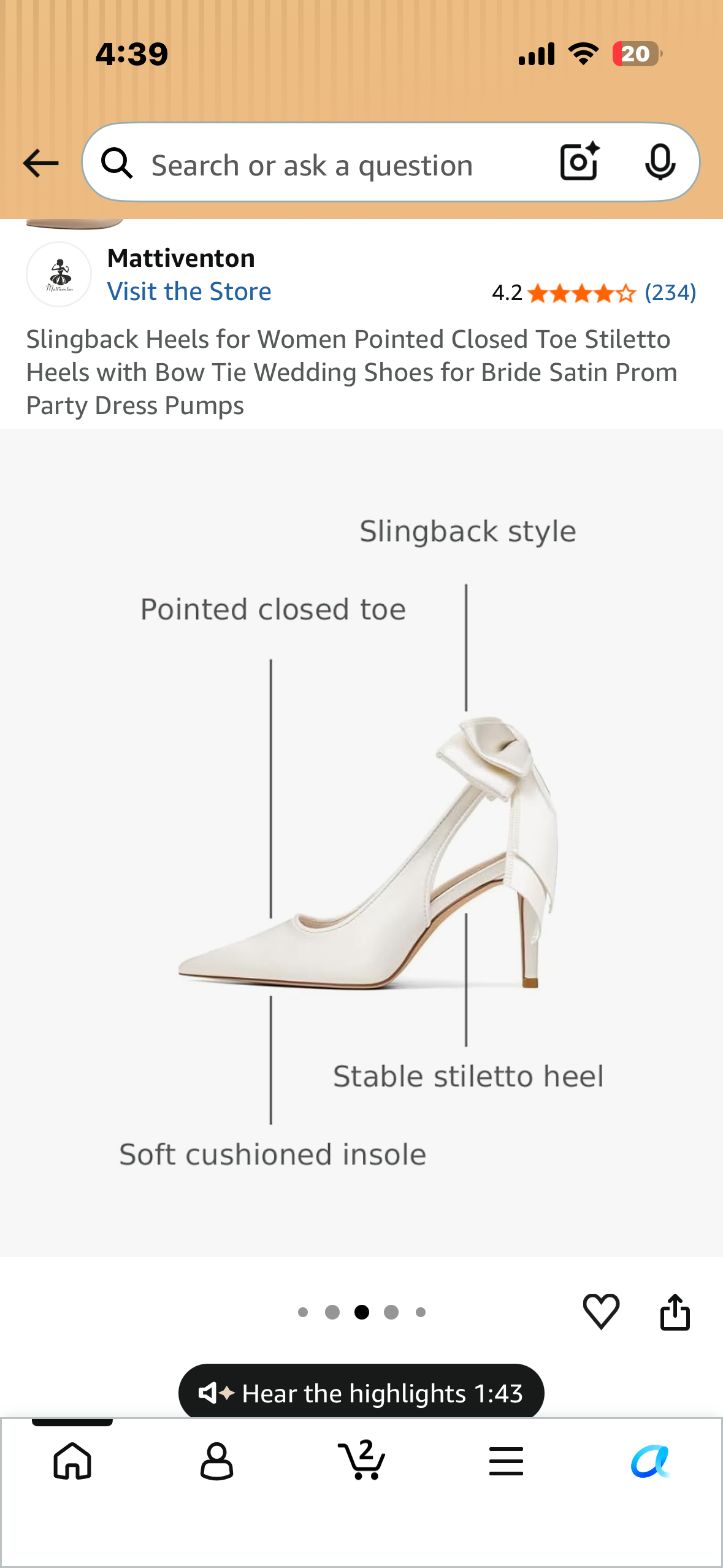 Slingback Heels, Pointed Closed Toe Stiletto Heels with Bow Tie, Formal Wear Shoes, Dress Pumps (Size 6)